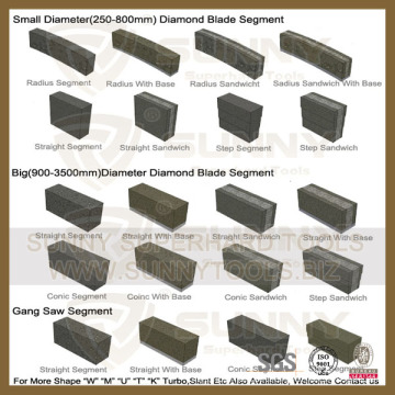 Coupe de diamant Laney Segment Segmetn